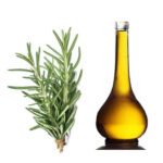 روغن رزماری