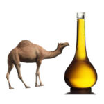 روغن کوهان شتر اصل