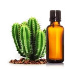 روغن کاکتوس