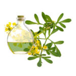 روغن سداب 30 cc