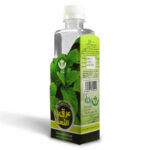 عرق نعنا شفای کردستان