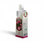 گلاب 400 cc شفای کردستان