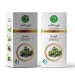 تیزن خونساز حکیم مومن تبریزی