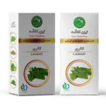 تیزن لاغری حکیم مومن تبریزی