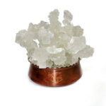 نبات شاخه سفید