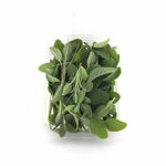 گیاه انسولین 100 گرمی