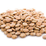 باقلای مصری