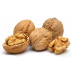 گردو پوست کاغذی