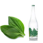 عرق بارهنگ سنتی