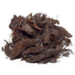 سنبل الطیب هندی