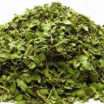 آویشن شیرازی