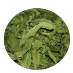 گیاه به لیمو