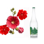 عرق گل ختمی