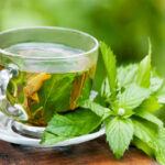 گیاه بادرنجبویه