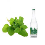 عرق بادرنجبویه