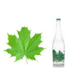 عرق برگ چنار