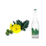 عرق خارخاسک