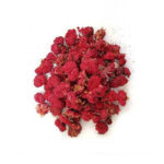 گلنار فارسی