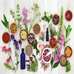 معرفی گیاهان دارویی برای لاغری شکم و پهلو