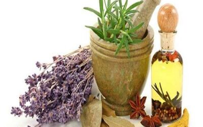 گیاهان دارویی برای درمان بواسیر
