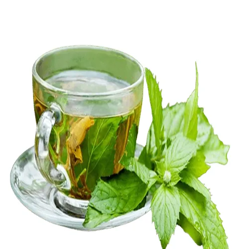 دمنوش گیاهی چای سبز با ترکیبات انرژی ‌زای طبیعی ستین