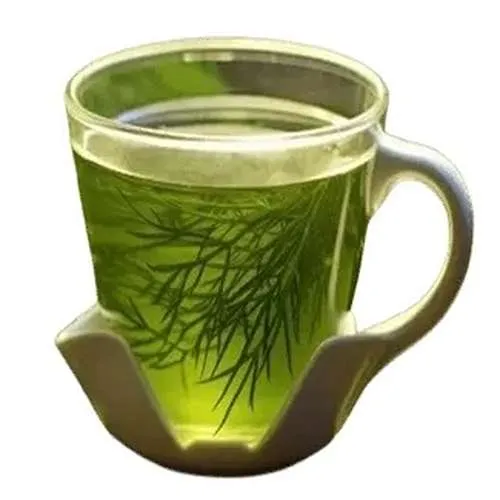 دمنوش شوید برای تنظیم چربی و کمک به هضم