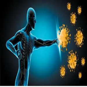 بهترین گیاهان دارویی برای تقویت سیستم ایمنی بدن