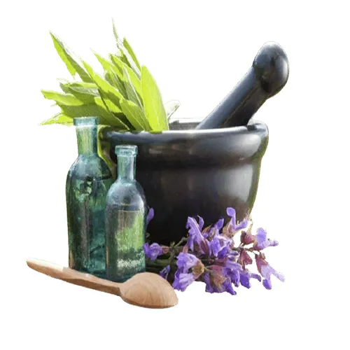 بررسی وضعیت گیاه پیش از خرید